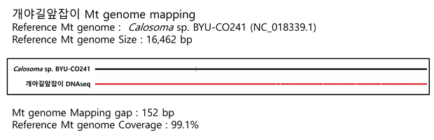 ±×¸²ÀÔ´Ï´Ù.
¿øº» ±×¸²ÀÇ À̸§: 2016_Mito_mapping-°³¾ß±æ¾ÕÀâÀÌ.jpg
¿øº» ±×¸²ÀÇ Å©±â: °¡·Î 3800pixel, ¼¼·Î 1224pixel
»çÁø ÂïÀº ³¯Â¥: 2016³â 11¿ù 27ÀÏ ¿ÀÈÄ 2:07
ÇÁ·Î±×·¥ À̸§ : Adobe Photoshop CC (Windows)
»ö ´ëÇ¥ : sRGB