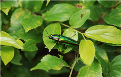 ׸Դϴ.
 ׸ ̸: DSC_0080.JPG
 ׸ ũ:  3216pixel,  2136pixel
  ¥: 2016 08 07  3:12
ī޶  ü : NIKON CORPORATION
ī޶  : NIKON D2Xs
α׷ ̸ : Ver.1.00 
F- : 4.8
 ð : 10/900
IOS  : 100
 ǥ : sRGB
  : ڵ
ȭƮ 뷱 : ڵ
