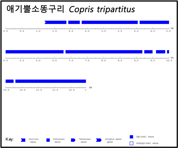 ±×¸²ÀÔ´Ï´Ù.
¿øº» ±×¸²ÀÇ À̸§: Ct_59849562.jpg
¿øº» ±×¸²ÀÇ Å©±â: °¡·Î 5382pixel, ¼¼·Î 4450pixel
»çÁø ÂïÀº ³¯Â¥: 2017³â 11¿ù 22ÀÏ ¿ÀÈÄ 9:58
ÇÁ·Î±×·¥ À̸§ : Adobe Photoshop CC (Windows)
»ö ´ëÇ¥ : sRGB