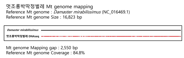 ±×¸²ÀÔ´Ï´Ù.
¿øº» ±×¸²ÀÇ À̸§: 2016_Mito_mapping-¸ÚÁ¶·Õ¹ÚµüÁ¤¹ú·¹.jpg
¿øº» ±×¸²ÀÇ Å©±â: °¡·Î 3824pixel, ¼¼·Î 1212pixel
»çÁø ÂïÀº ³¯Â¥: 2016³â 11¿ù 27ÀÏ ¿ÀÈÄ 2:09
ÇÁ·Î±×·¥ À̸§ : Adobe Photoshop CC (Windows)
»ö ´ëÇ¥ : sRGB