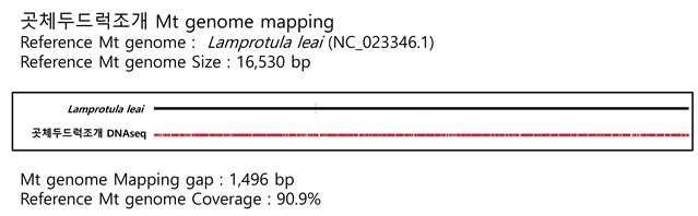±×¸²ÀÔ´Ï´Ù.
¿øº» ±×¸²ÀÇ À̸§: 2016_Mito_mapping-°÷üµÎµå·°Á¶°³.jpg
¿øº» ±×¸²ÀÇ Å©±â: °¡·Î 3792pixel, ¼¼·Î 1176pixel
»çÁø ÂïÀº ³¯Â¥: 2016³â 11¿ù 27ÀÏ ¿ÀÈÄ 2:11
ÇÁ·Î±×·¥ À̸§ : Adobe Photoshop CC (Windows)
»ö ´ëÇ¥ : sRGB