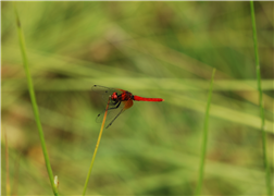 ׸Դϴ.
 ׸ ̸: DSC_0007.JPG
 ׸ ũ:  3216pixel,  2136pixel
  ¥: 2016 06 15  12:39
ī޶  ü : NIKON CORPORATION
ī޶  : NIKON D2Xs
α׷ ̸ : Ver.1.00 
F- : 5.6
 ð : 10/1250
IOS  : 100
 ǥ : sRGB
  : ڵ
ȭƮ 뷱 : 