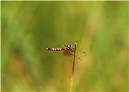 ׸Դϴ.
 ׸ ̸: DSC_0136.JPG
 ׸ ũ:  3216pixel,  2136pixel
  ¥: 2016 06 15  12:53
ī޶  ü : NIKON CORPORATION
ī޶  : NIKON D2Xs
α׷ ̸ : Ver.1.00 
F- : 5.0
 ð : 10/1000
IOS  : 100
 ǥ : sRGB
  : ڵ
ȭƮ 뷱 : 